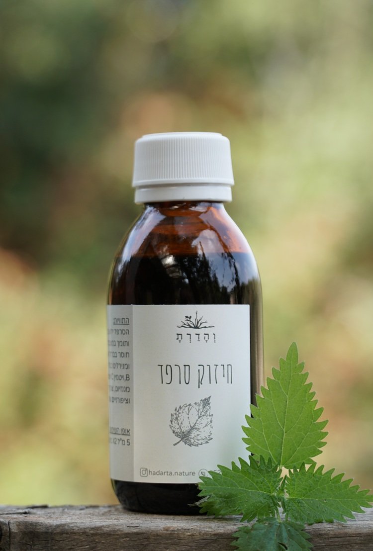 חיזוקית סרפד