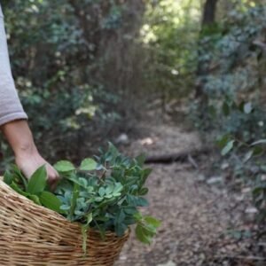 סדנת חורף בריא 28.11