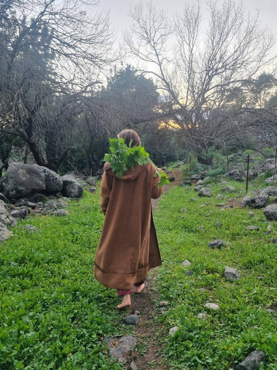 ‏‏480084417_10235695603386417_3952646875391435668_n - עותק