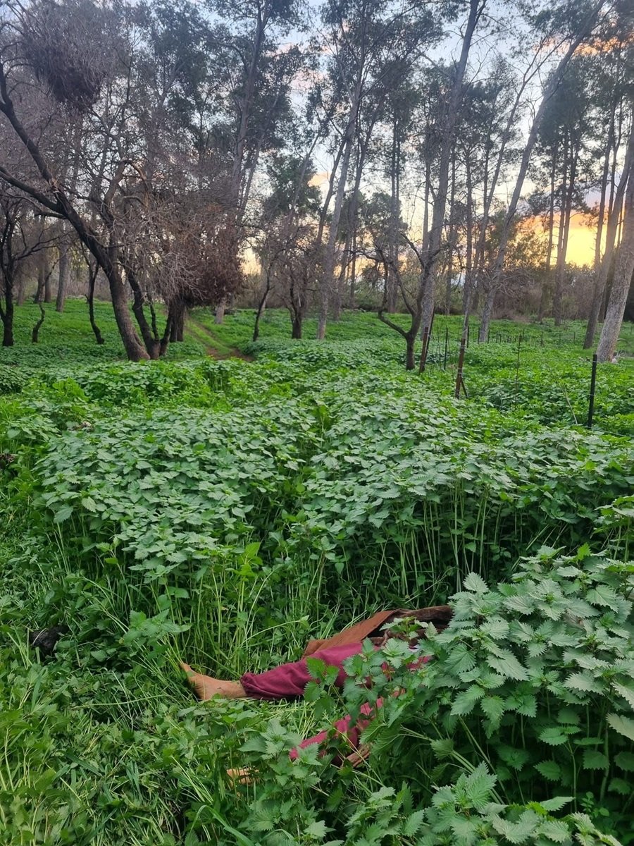 ‏‏480168212_10235695614066684_3754903860839371780_n - עותק